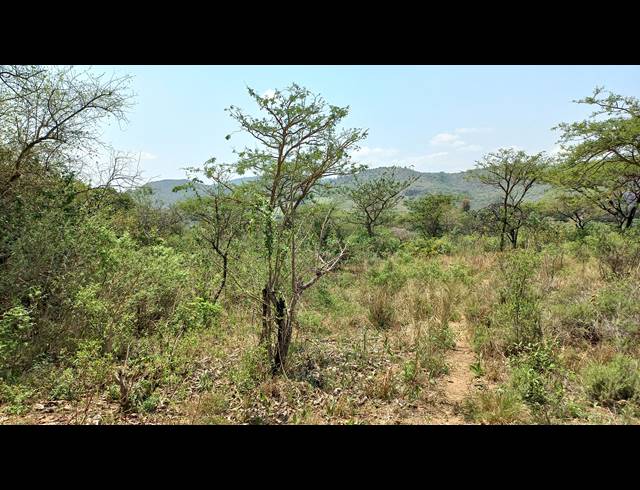 1HA SMALLHOLDING FOR SALE IN NELSPRUIT RURAL